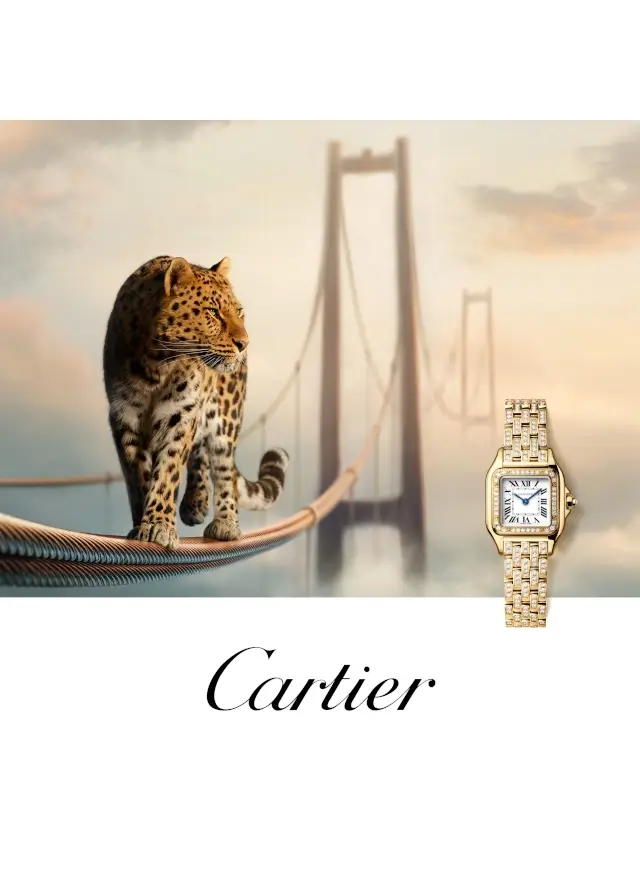 Cartier watches