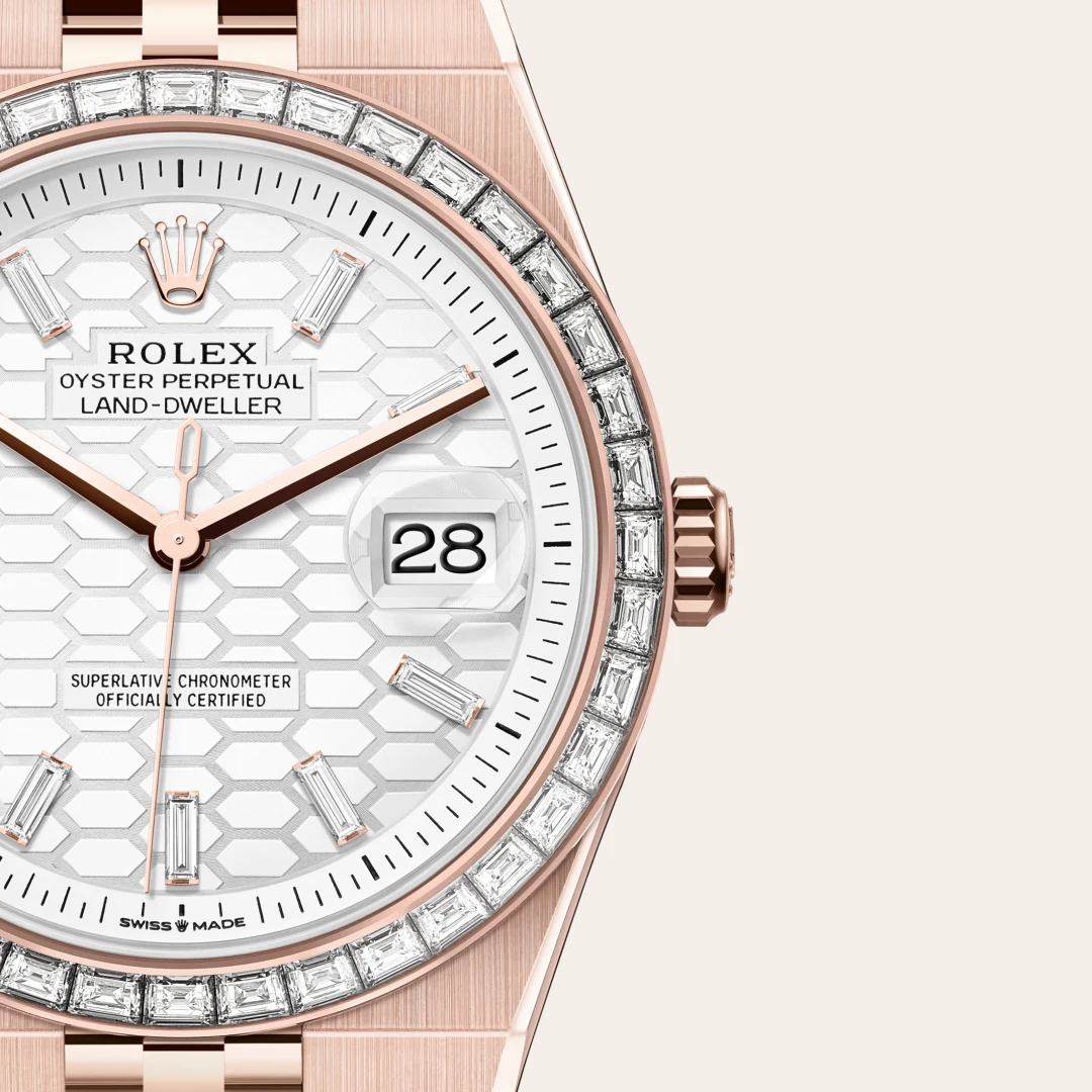 Rolex Land-Dweller in Oro Everose 18 ct, M127385TBR-0003 - Verga 1947