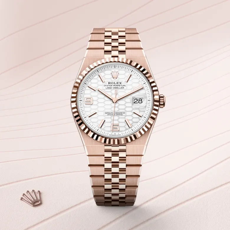 Rolex Land-Dweller in 18 ct Everose gold, M127335-0001 - Verga 1947