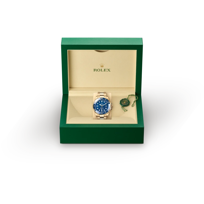 Rolex Deepsea in Oro giallo 18 ct, M136668LB-0001 - Verga 1947